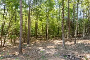 2820 Rock Chimney Cir, Lancaster, SC 29720 - Photo 40