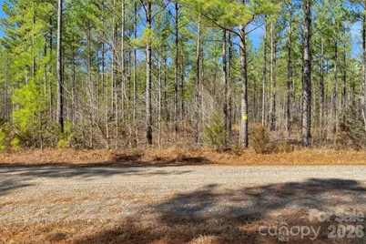 000 Peacehaven Road #6, McConnells, SC 29726 - Photo 20