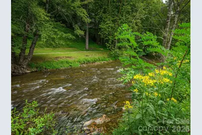 79 Rapid Waters Way, Waynesville, NC 28785 - Photo 42