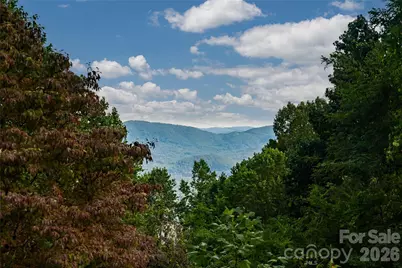 5 Meadow Ridge Drive, Asheville, NC 28804 - Photo 34