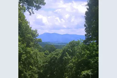 2705 Sand Branch Road, Black Mountain, NC 28711 - Photo 42