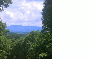 2705 Sand Br Rd, Black Mountain, NC 28711 - Photo 42