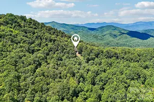 2705 Sand Br Rd, Black Mountain, NC 28711 - Photo 40
