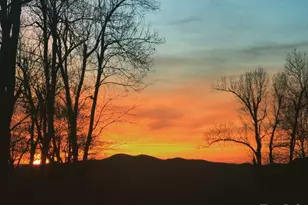 2705 Sand Br Rd, Black Mountain, NC 28711 - Photo 44