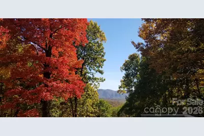 2705 Sand Branch Road, Black Mountain, NC 28711 - Photo 46