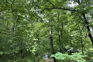 1060 Old Ballpark Rd, Spindale, NC 28160 - Photo 4