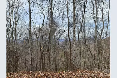 Lot 7 Deer Ridge Road, Bryson City, NC 28713 - Photo 6