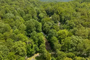 33 E H Bailey Rd, Bryson City, NC 28713 - Photo 46