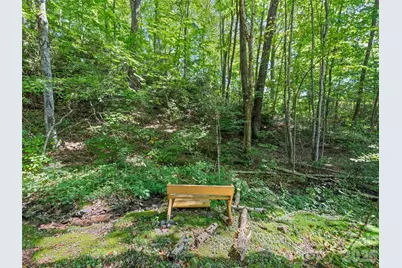 100 Loafer Lane, Waynesville, NC 28785 - Photo 8