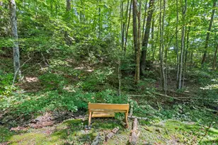 100 Loafer Ln, Waynesville, NC 28785 - Photo 8