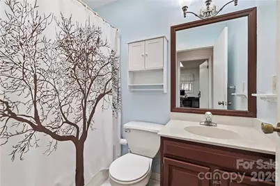 13 Llama Vista Court, Black Mountain, NC 28711 - Photo 14