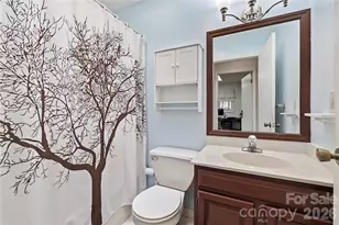 13 Llama Vista Ct, Black Mountain, NC 28711 - Photo 14