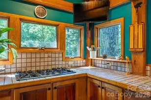 688 Blueberry Farm Rd, Zirconia, NC 28790 - Photo 14