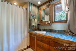 688 Blueberry Farm Rd, Zirconia, NC 28790 - Photo 18