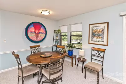 3001 Saint Augustine Place #AA1, Asheville, NC 28805 - Photo 8