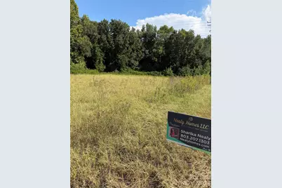 801 S Van Lingle Mungo Boulevard, Pageland, SC 29728 - Photo 4