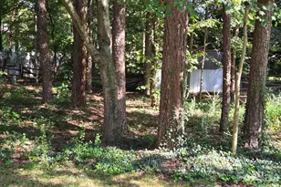6214 Elkington Ln, Mint Hill, NC 28227 - Photo 40