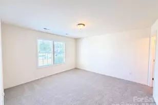 10215 Orchard Grass Ct, Charlotte, NC 28278 - Photo 10