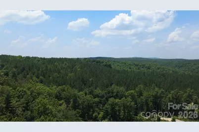 4691 Snowhill Church Road, Morganton, NC 28655 - Photo 10