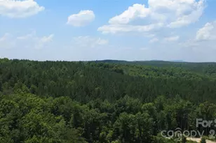 4691 Snowhill Church Rd, Morganton, NC 28655 - Photo 10