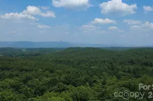4691 Snowhill Church Rd, Morganton, NC 28655 - Photo 16