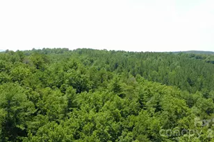 4691 Snowhill Church Rd, Morganton, NC 28655 - Photo 14