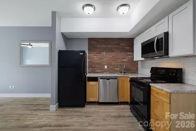 125 Clingman Avenue #203, Asheville, NC 28801 - Photo 4