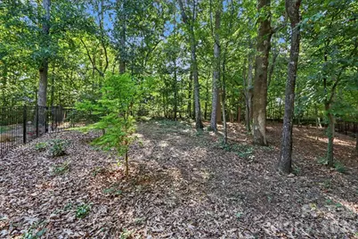 8152 Deep Water Lane, Denver, NC 28037 - Photo 22