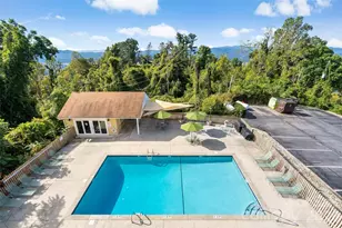 647 Town Mountain Rd, Asheville, NC 28804 - Photo 8