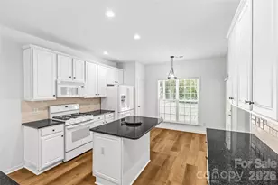 15046 Annan Ct, Charlotte, NC 28277 - Photo 14