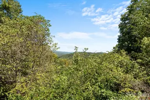 220 Wingfield Way, Brevard, NC 28712 - Photo 6
