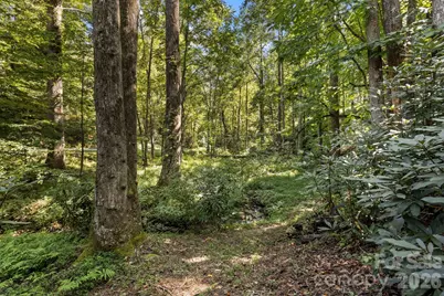 400 Laurel Drive, Saluda, NC 28773 - Photo 36