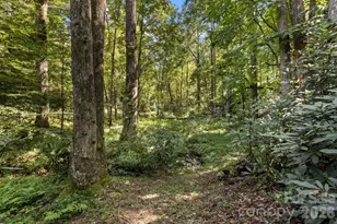 400 Laurel Dr, Saluda, NC 28773 - Photo 36