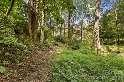 400 Laurel Drive, Saluda, NC 28773 - Photo 38