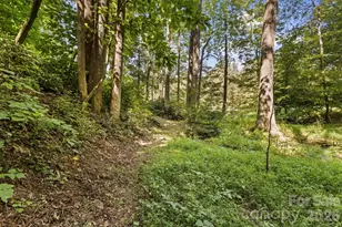400 Laurel Dr, Saluda, NC 28773 - Photo 38