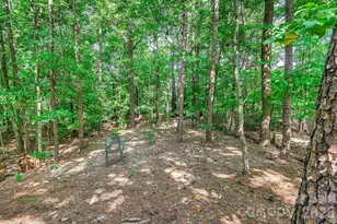5016 Hickory Lake Ln, Matthews, NC 28105 - Photo 44