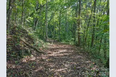 Tbd Robinhood Road #2, Asheville, NC 28804 - Photo 12