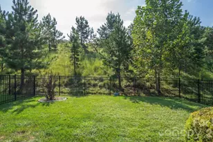 4927 Looking Glass Trail, Denver, NC 28037 - Photo 2
