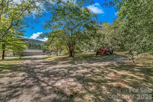 17 Blackberry Ln, Candler, NC 28715 - Photo 10