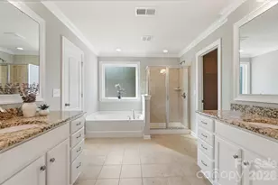 10038 Travertine Trail, Davidson, NC 28036 - Photo 22