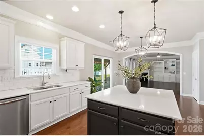 10038 Travertine Trail, Davidson, NC 28036 - Photo 16