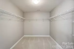 10038 Travertine Trail, Davidson, NC 28036 - Photo 24
