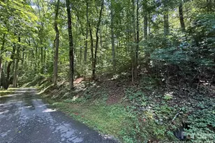 114 High Pines Loop, Lake Lure, NC 28746 - Photo 10