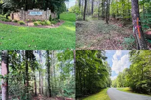 7877 Long Bay Pkwy, Catawba, NC 28609 - Photo 1