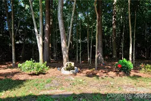 19243 Kanawha Dr, Cornelius, NC 28031 - Photo 18