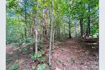 7865 Long Bay Parkway, Catawba, NC 28609 - Photo 14