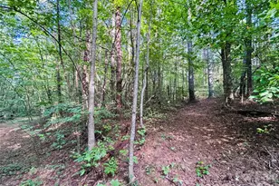 7865 Long Bay Pkwy, Catawba, NC 28609 - Photo 14