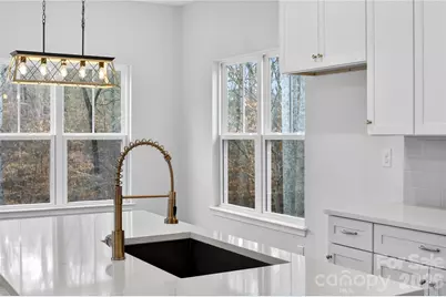 229 Shenandoah Loop, Troutman, NC 28166 - Photo 26