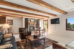 114 Sunny View Ln, Flat Rock, NC 28731 - Photo 20