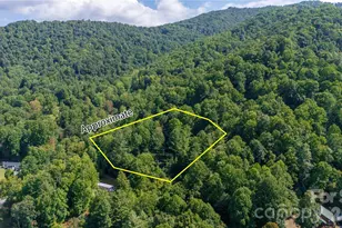 319 Dancing Leaf Ln, Bakersville, NC 28705 - Photo 6
